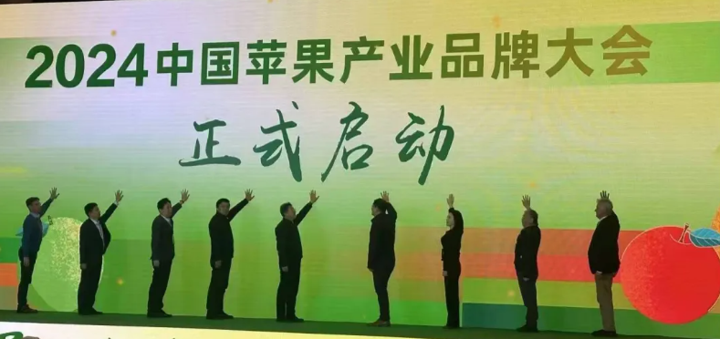 山东省农业贸易促进会战略决策咨询委员会主任委员林国华受邀出席“2024年中国苹果产业品牌大会”